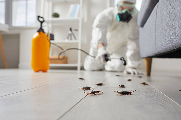 Commercial Kitchen Cockroach Control in Fulton